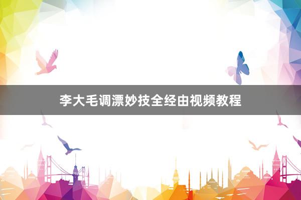 李大毛调漂妙技全经由视频教程